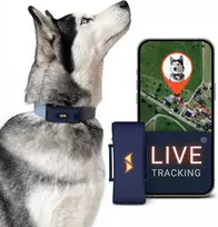 PAJ GPS gyvūnų GPS seklys, 4G, atsparus vandeniui, baterija iki 10 dienų, PET Finder 4G - blauw