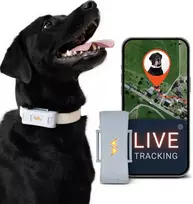 PAJ GPS šunų GPS seklys, 4G, vandeniui atsparus IP67, LED funkcija, PET Finder 4G - Pilkas