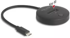 Delock M.2 Dockingstation für M.2 NVMe / SATA SSD mit USB 10Gbps USB Type-C™ Stecker