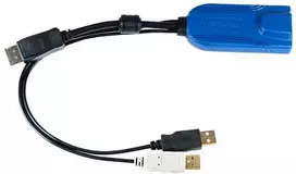 Raritan Computer Raritan D2CIM-DVUSB-DP, USB, USB, DisplayPort, Juodas, Mėlynas, RJ-45, Kištukas/Lizdas