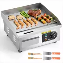 Elektrinė kepimo plokštuma, nerūdijančio plieno stalviršis, reguliuojama temperatūra 50-300°C, 2000W, plokščias grilis su mentelėmis ir šepečiais, profesionali virtuvės įranga