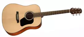 Walden Guitars Akustinė gitara Walden D450W