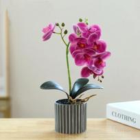 Silk Butterfly Orchid Artificial Flowers Bonsai Orchid Phalaenopsis Flower Pot Home Wedding Decoration Arrangements Fake Plants A3