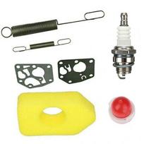 Briggs Stratton Filtro Membranos Spyruoklių Rinkinys