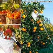 Lemon Picker For Tree Telescoping Fruit Picker Pole Stainless Steel Adjustable Grabber Reacher Tool For Acorn Lemon Pear Mango China Mainland