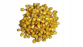 Ttcarp Kukurūzas Paruošti Grūdai 1Kg