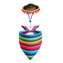 Mini Sombrero Mexican Porch Goose Outfits Headband Pet Hat Scarf  Pet Supplies Set 2