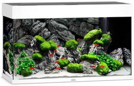Juwel Rio 125 LED akvariumas 125l Baltas