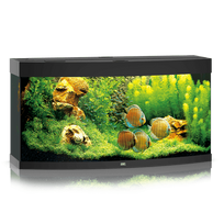 Juwel Vision 260 LED akvariumas 260l Juodas