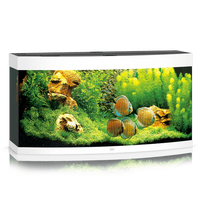 Juwel Vision 260 LED akvariumas 260l Baltas