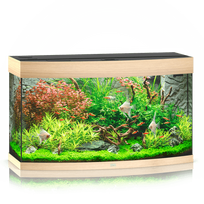 Juwel Vision 180 LED akvariumas 180l Šviesus medis