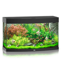 Juwel Vision 180 LED akvariumas 180l Juodas