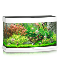 Juwel Vision 180 LED akvariumas 180l Baltas