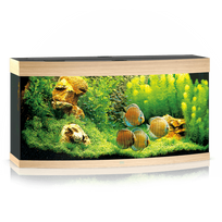 Juwel Vision 260 LED akvariumas 260l Šviesus medis