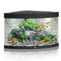 Juwel Trigon 190 LED akvariumas 190l Juodas