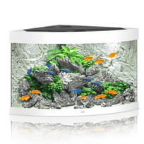 Juwel Trigon 190 LED akvariumas 190l Baltas