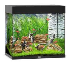 Juwel Lido 120 LED akvariumas 120l Juodas