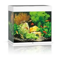 Juwel Lido 120 LED akvariumas 120l Baltas