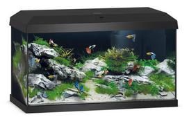 Juwel Primo 60 LED akvariumas 57l