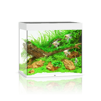 Juwel Lido 200 LED akvariumas 200l Baltas