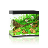 Juwel Lido 200 LED akvariumas 200l Juodas
