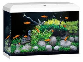 Juwel Primo 70 LED akvariumas 70l Baltas