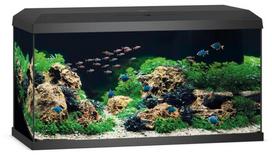 Juwel Primo 110 LED akvariumas 110l