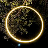LED Wishing Ring Tree Hanging Light