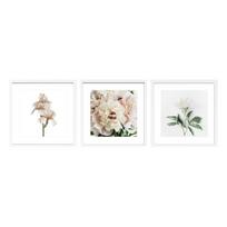 Spausdinti paveikslai su rėmeliu 3 vnt. 30x30 cm Posy – Styler