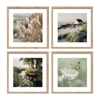 Spausdinti paveikslai su rėmeliu 4 vnt. 30x30 cm Subtle Nature – Styler