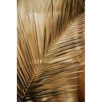 Spausdintas paveikslas iš stiklo 80x120 cm Gold Palm – Styler