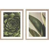 Spausdinti paveikslai su rėmeliu 2 vnt. 30x40 cm Beauty Green – Styler