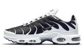 Nike Air Max Plus Balti Juodi Metaliniai Alavo CT1094-102 42