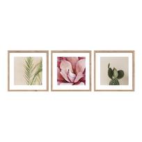 Spausdinti paveikslai su rėmeliu 3 vnt. 30x30 cm Fresh – Styler