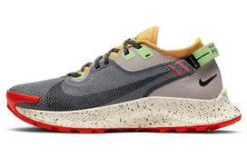Nike Pegasus Trail 2 Gore Tex Dūminės pilkos spalvos su rusvu atspalviu Moteriški CU2018-002 36.5