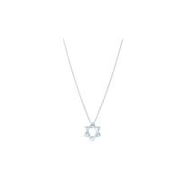 Tiffany & Co. Elsa Peretti Dovydo žvaigždės pakabukas Moteriški papuošalai Sidabrinis GRP02391 Silver,F