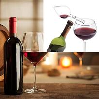 Wine Aerator Pourer for Bottles Decanter Gifts Celebrations Style A