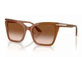Emporio Armani 4273BU 637613 53 – Akiniai nuo saulės Moterims