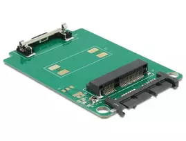 Delock Konverteris Micro SATA - mSATA (62520)