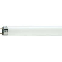 Świetlówka Philips Master TL-D Food liniowa T8 G13 58W 2800lm 3800K (871150070623240) | 871150070623240 | 8711500706232