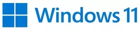Microsoft® „Windows 11 Pro FPP“ 64 bitų švediška USB 1 licencija