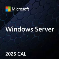 Microsoft Windows Server 2025 Standard
