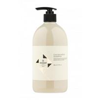 Hadat Cosmetics Golden Hour Shampoo Atkuriamasis šampūnas dažytiems ir šviesintiems plaukams, 800ml