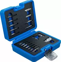 Bgs Technic Varžtų ištraukimo rinkinys | vidiniam šešiakampiui 1,5 - 10 mm / T-Star (Torx) | T10 - T55 | 19 vnt. (9173-1)