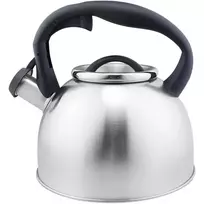 Floria ZLN1269 Virdulys su švilpuku 3L