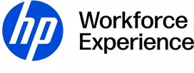 HP Workforce Experience SaaS Standard/Essential License and Support for 4 metai