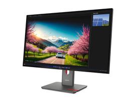 Lenovo ThinkVision P32UD-40 | 32 " | IPS | UHD | 16:9 | 120 Hz | 4 ms | 3840 x 2160 pixels | 350 cd/m² | Black