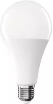 Emos LED lemputė Classic A80 / E27 / 20 W (150 W) / 2452 lm / Šalta balta