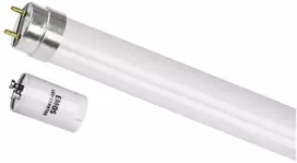 Emos LED lempa T8 profi plus 7,3 W 60 cm 1100 lm šaltai balta