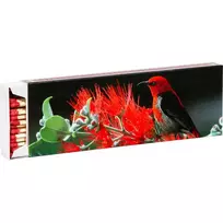 Flamax degtukai 20cm 55vnt